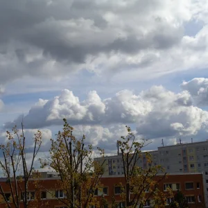 DSC02215