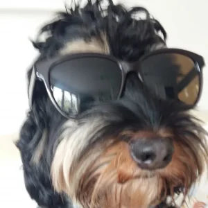 herr barney