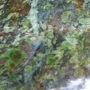 Stein