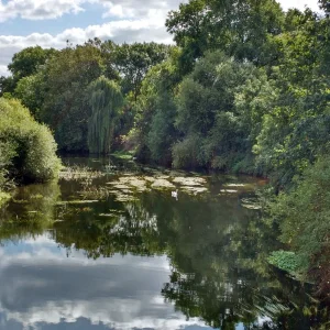 IMG_20190908_123840659_HDR