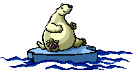 00001.gif
