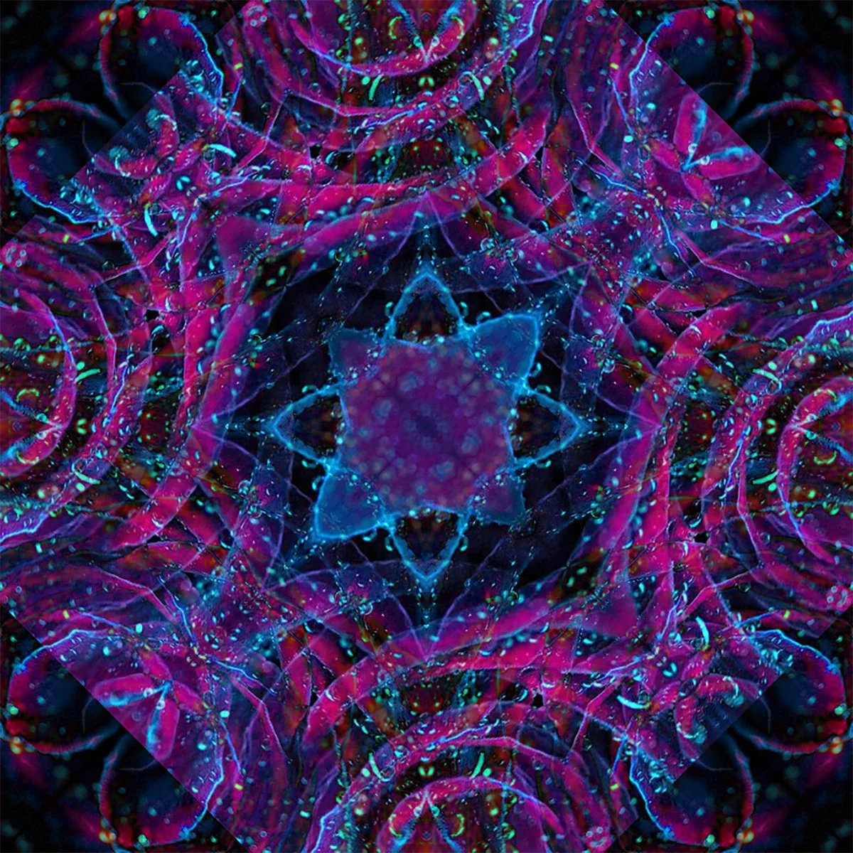 001 kaleidoscope.jpg