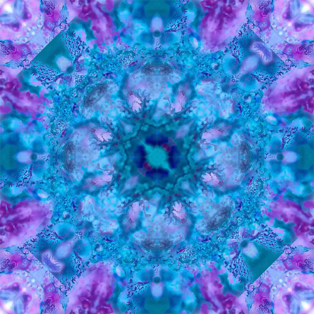 003 kaleidoscope.jpg