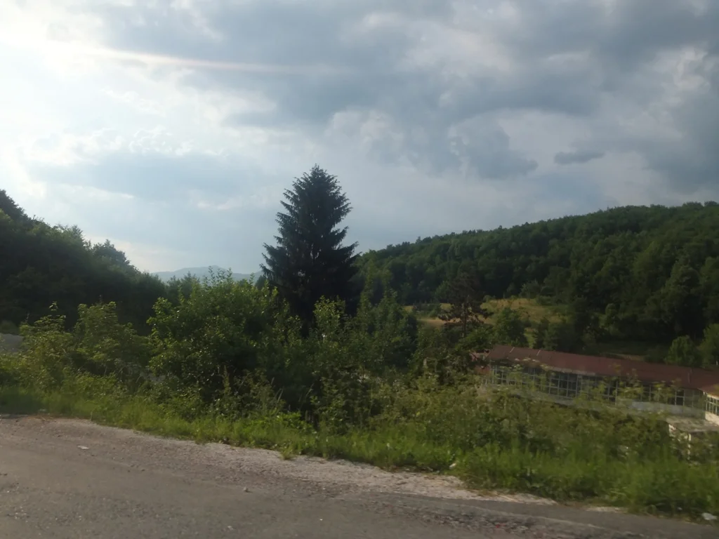 01_140R.JPG