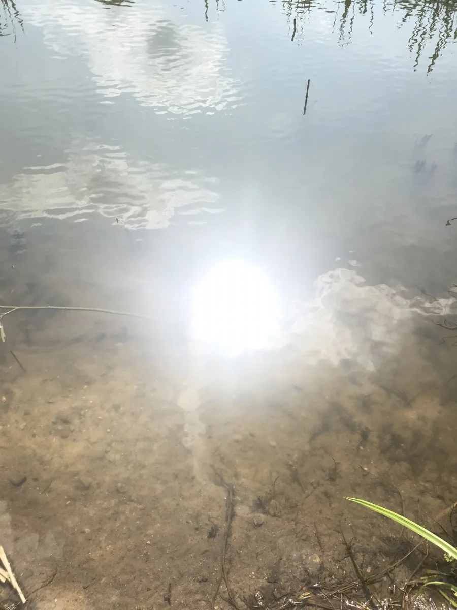 0647AF92-3D77-483B-B082-76C2CB2F5248.jpeg