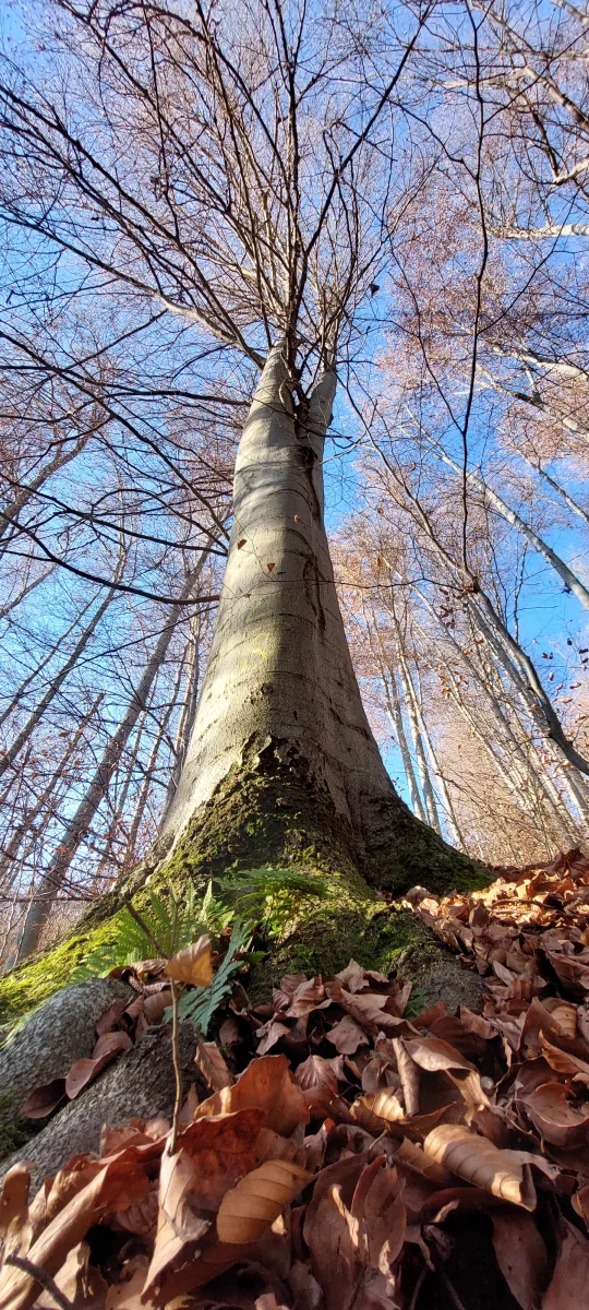1000030129.webp