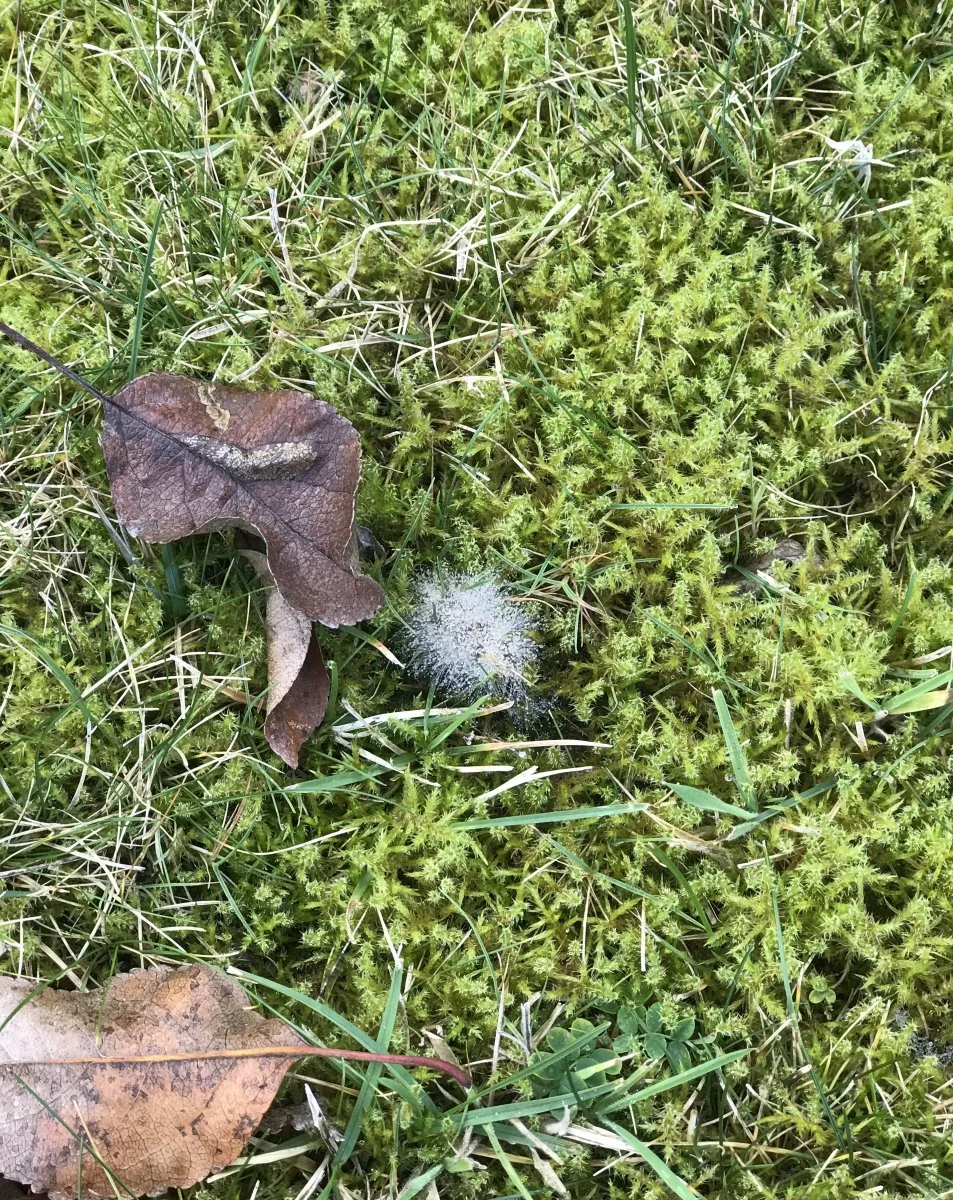 16084725-F640-4F2E-8092-95C1841BC0CC.jpeg