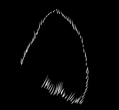 1726160003396.webp