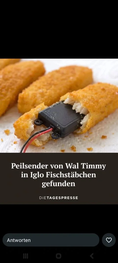 1778268888321.webp