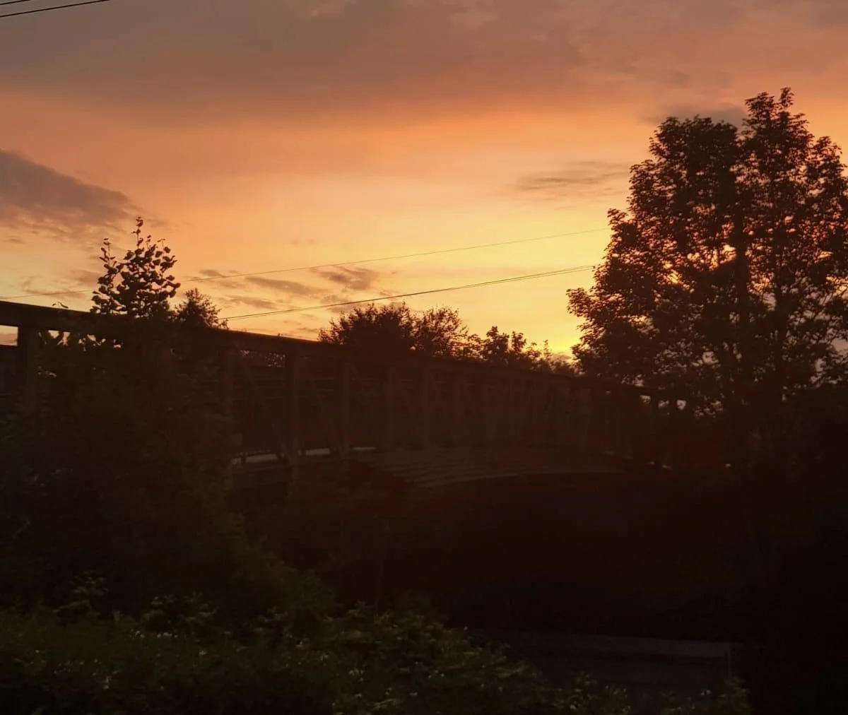 196AF3A2-6B39-44B9-ACA7-1927B0FB873D.jpeg