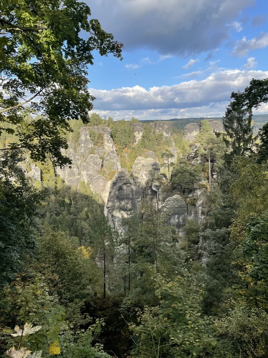 1A90077D-F670-4165-B0B7-23DF31186FAE.jpeg