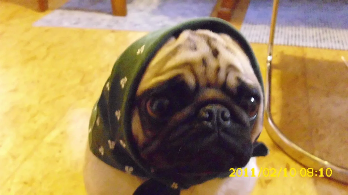 2011-02-10 2011-02-10 001 003.jpg