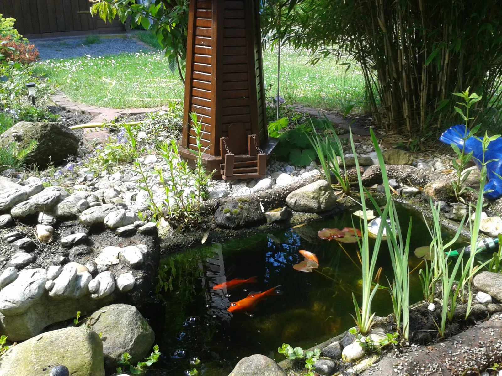 2012-06-05 11.44.26.jpg