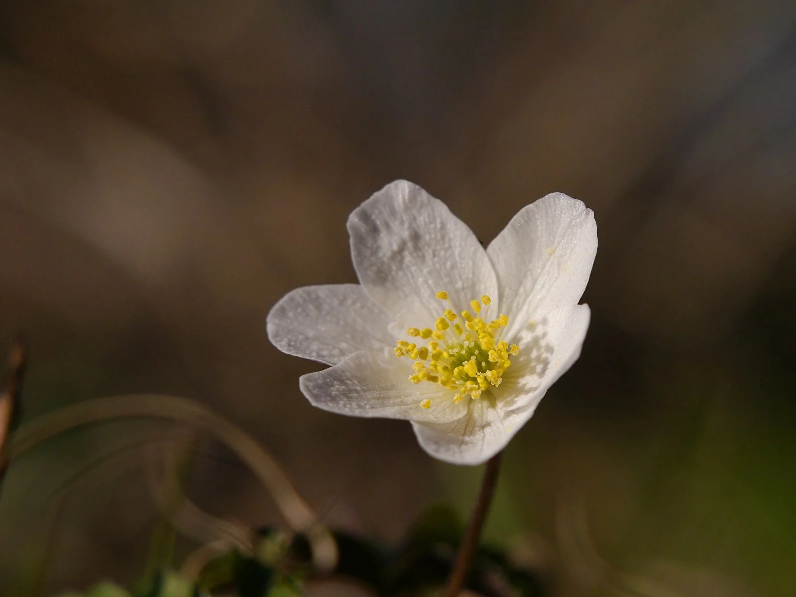 20130413_174107.jpg