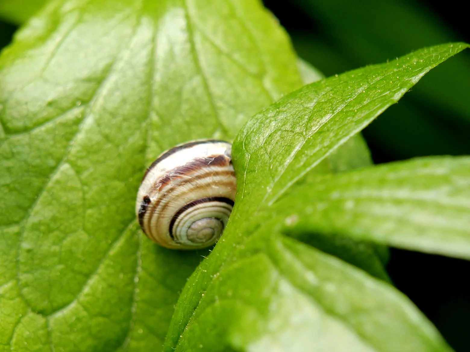 20130520_122200.jpg