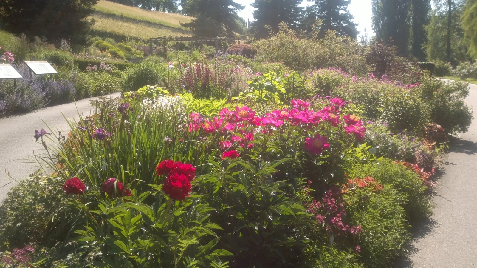 2014-06-07-578.jpg