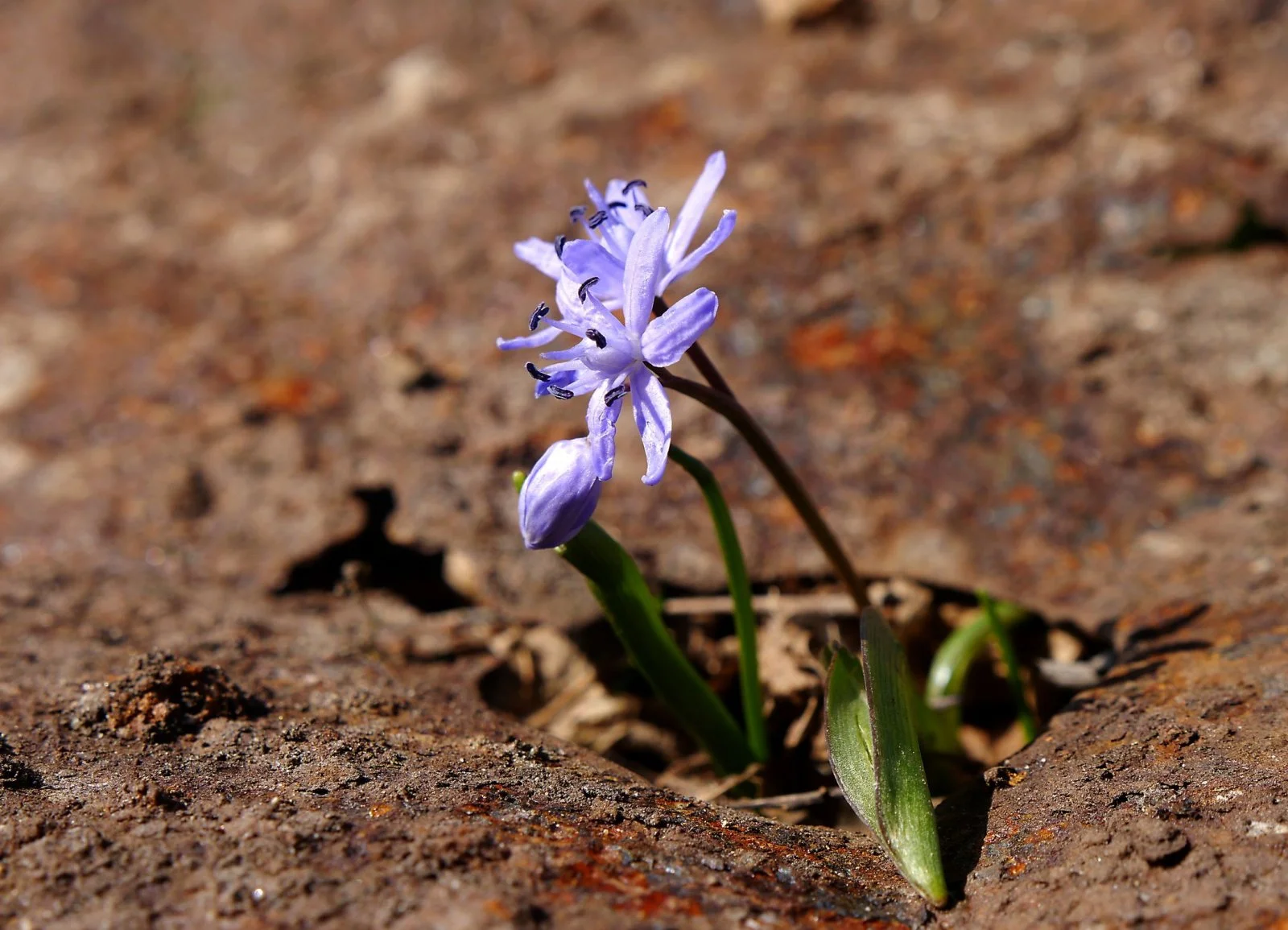 20140309_121030_03.JPG