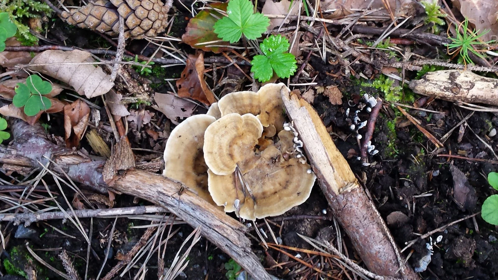 20140921_161707.jpg