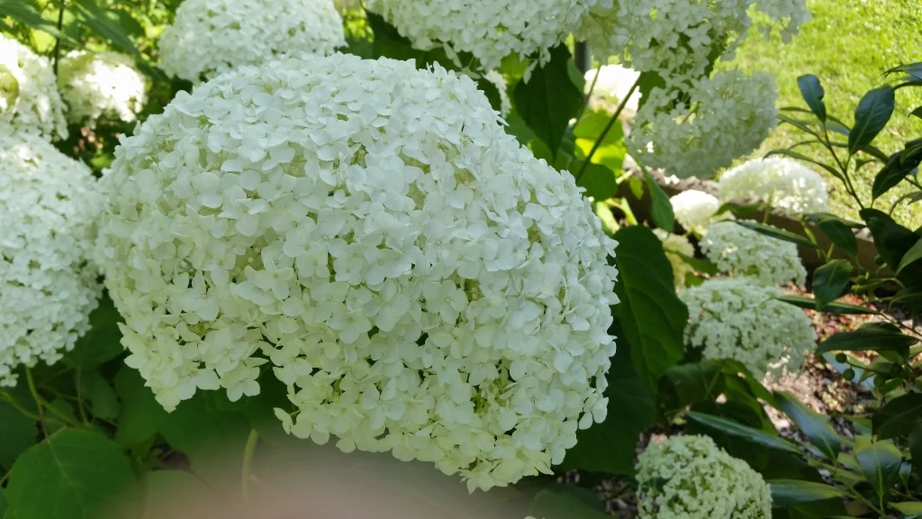 20150722_165332 (1024x576).jpg