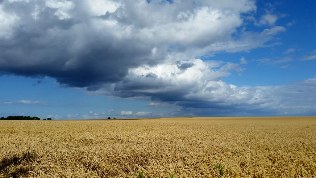 20150726_162228 (1024x576).jpg