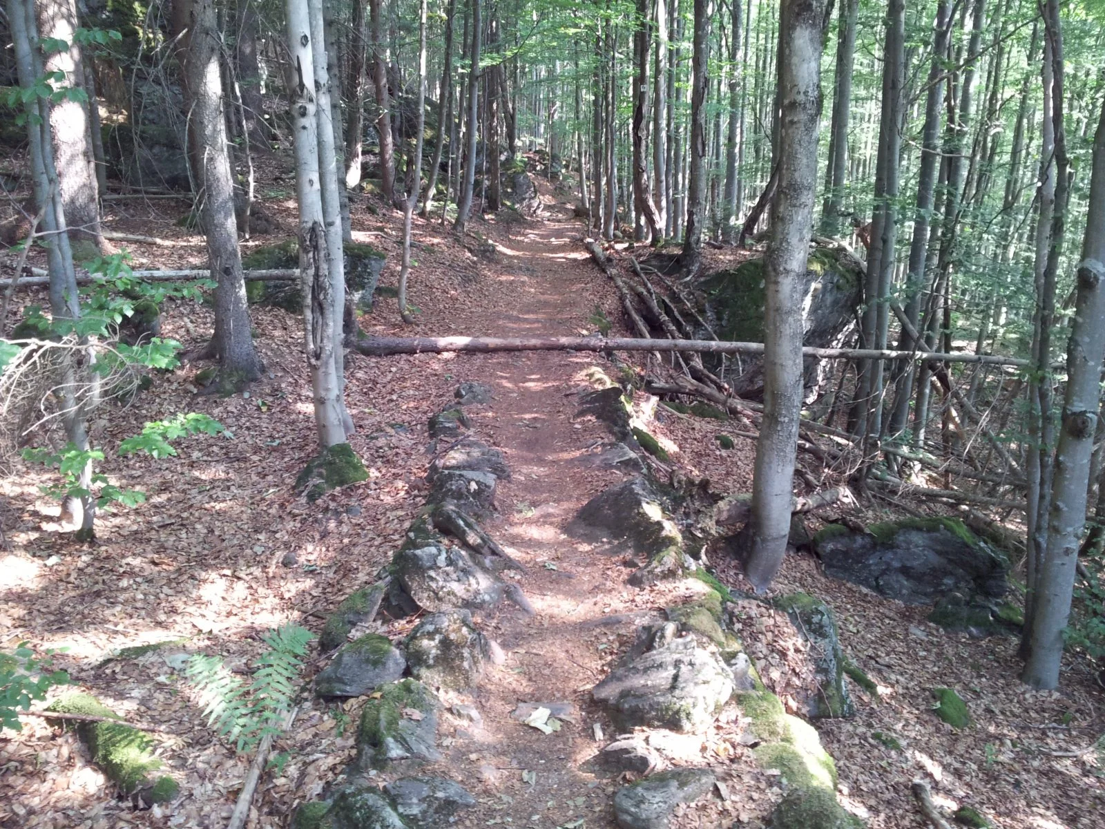 20150809_101420.jpg