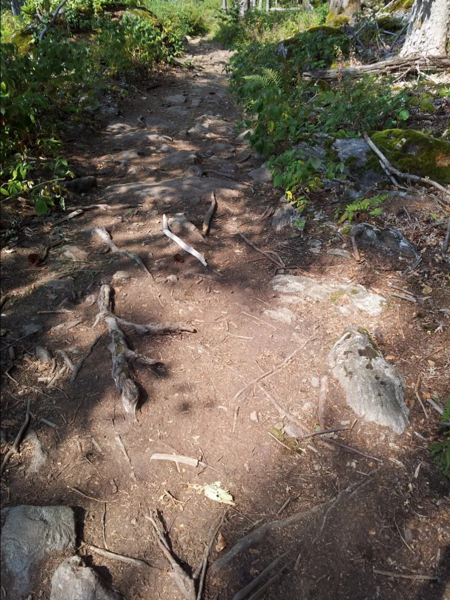 20150809_142612.jpg