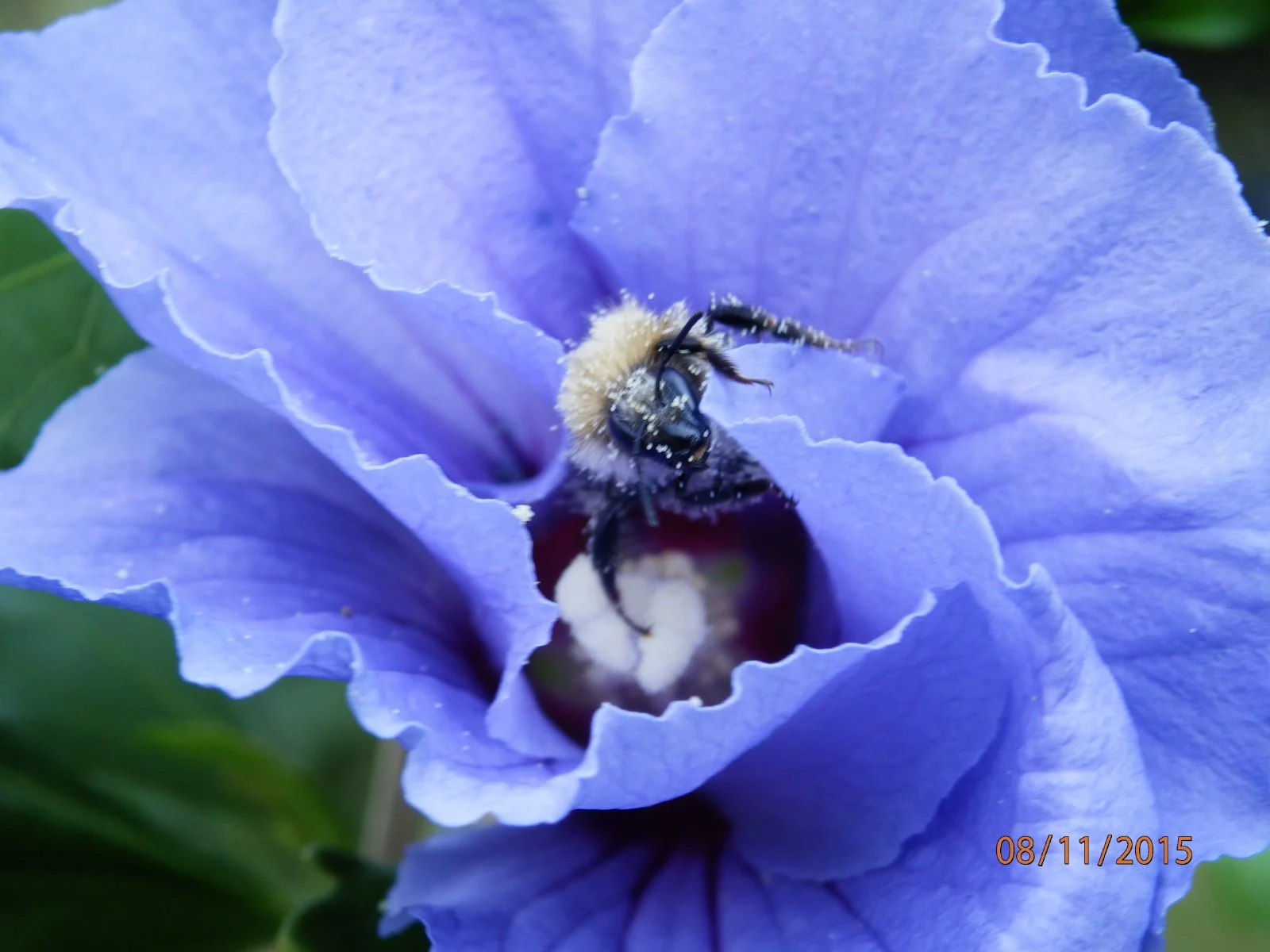 20150811_399.JPG