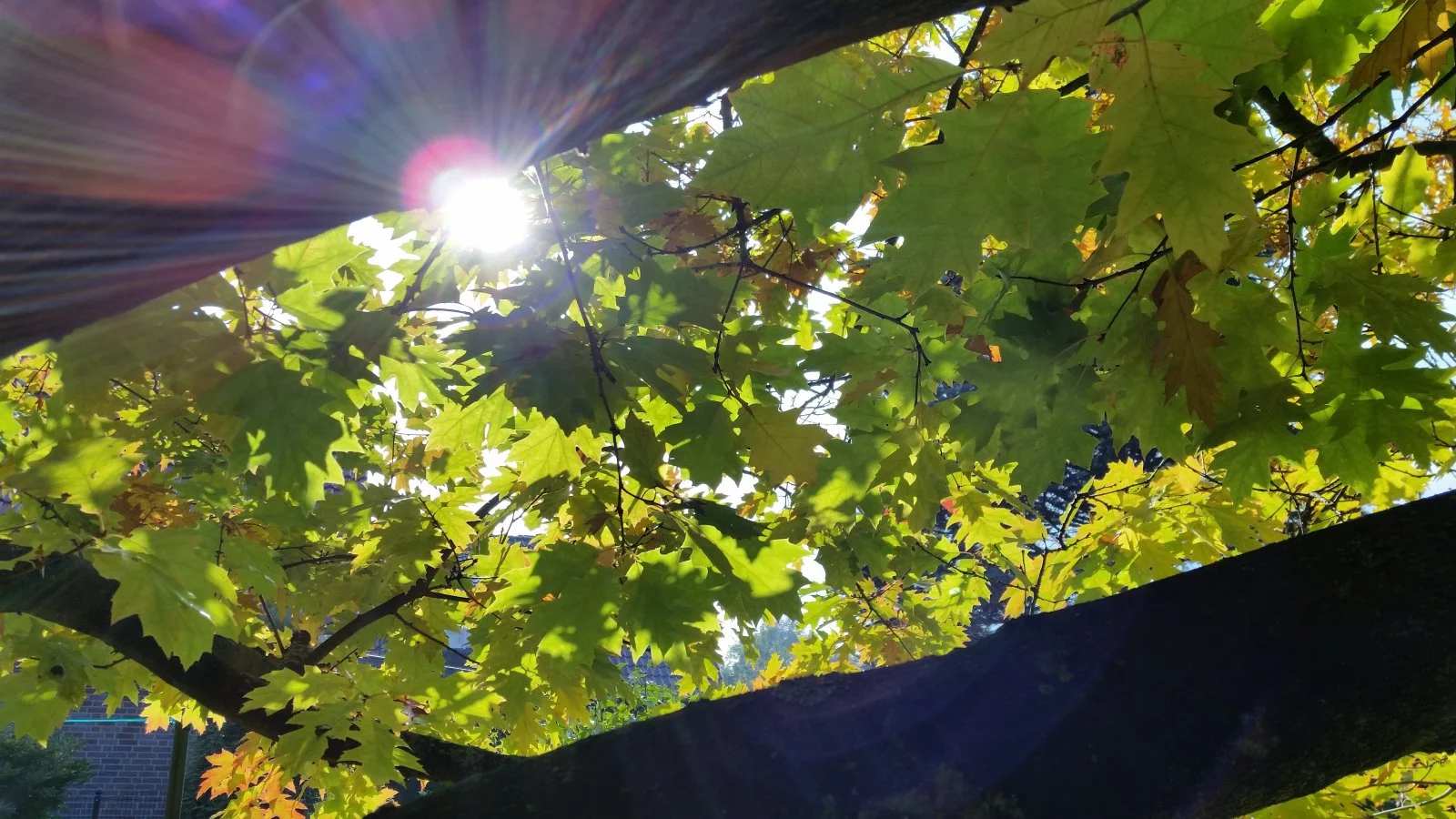 20151019_141547[1].jpg