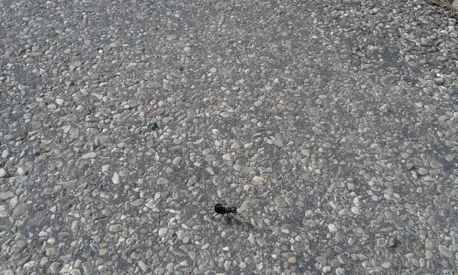 20151023_134816.jpg
