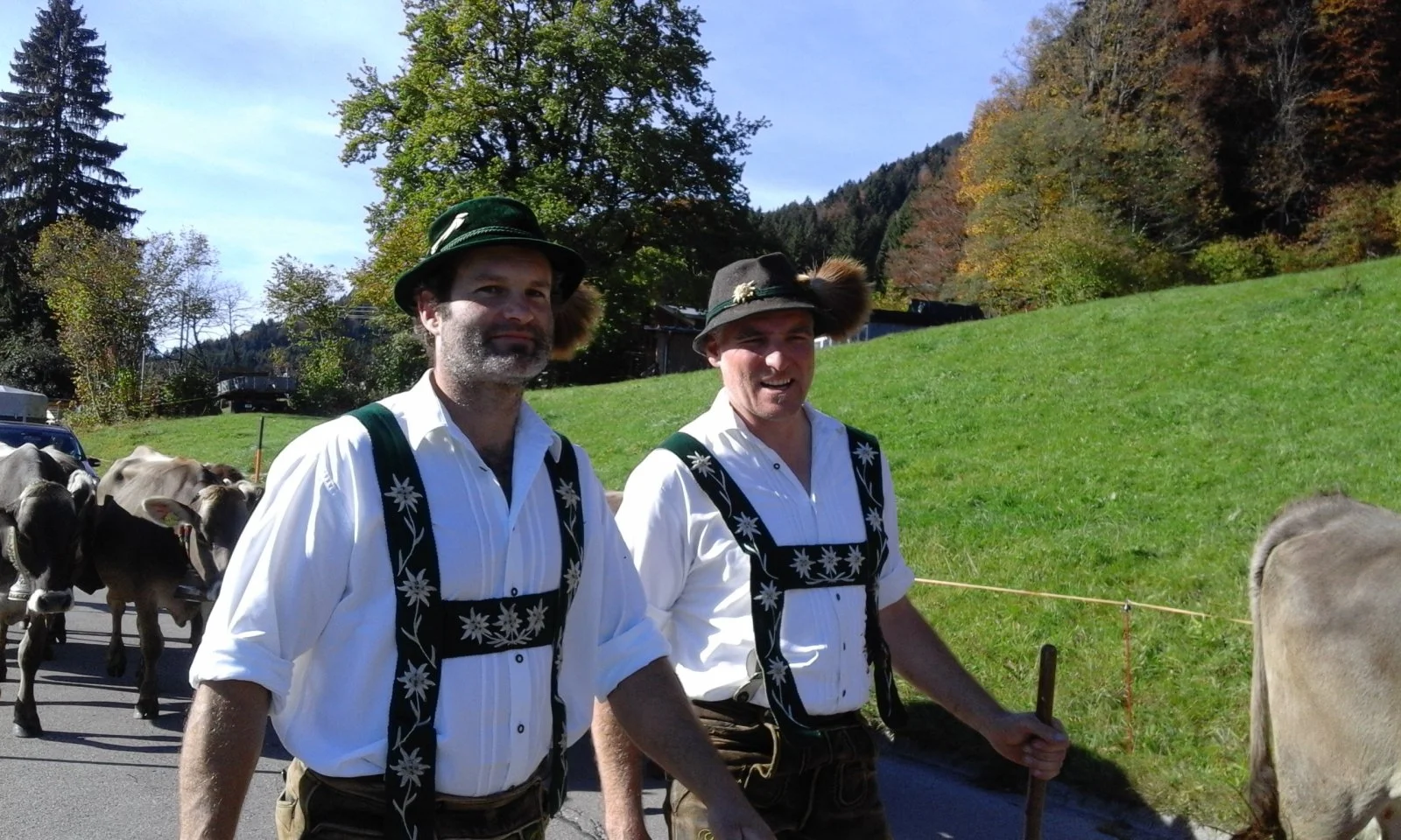 20151024_120353.jpg