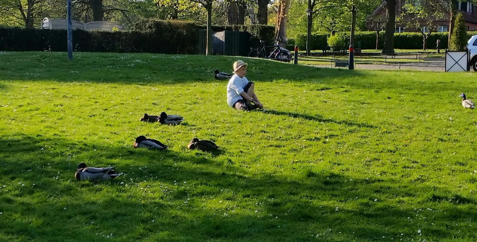 2016-05-06 19.43.20.jpg
