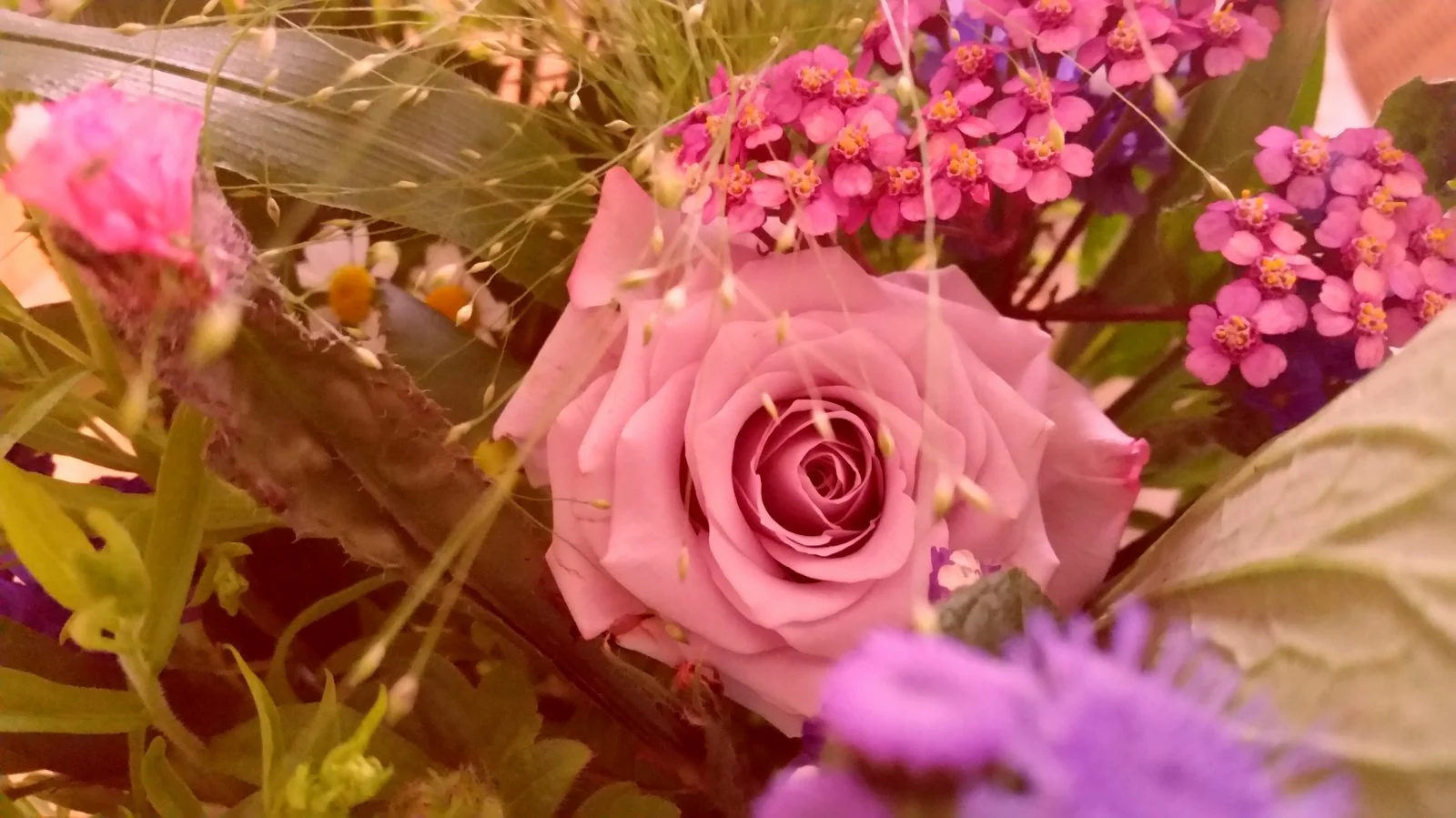 2016-07-09 22.04.44.jpg