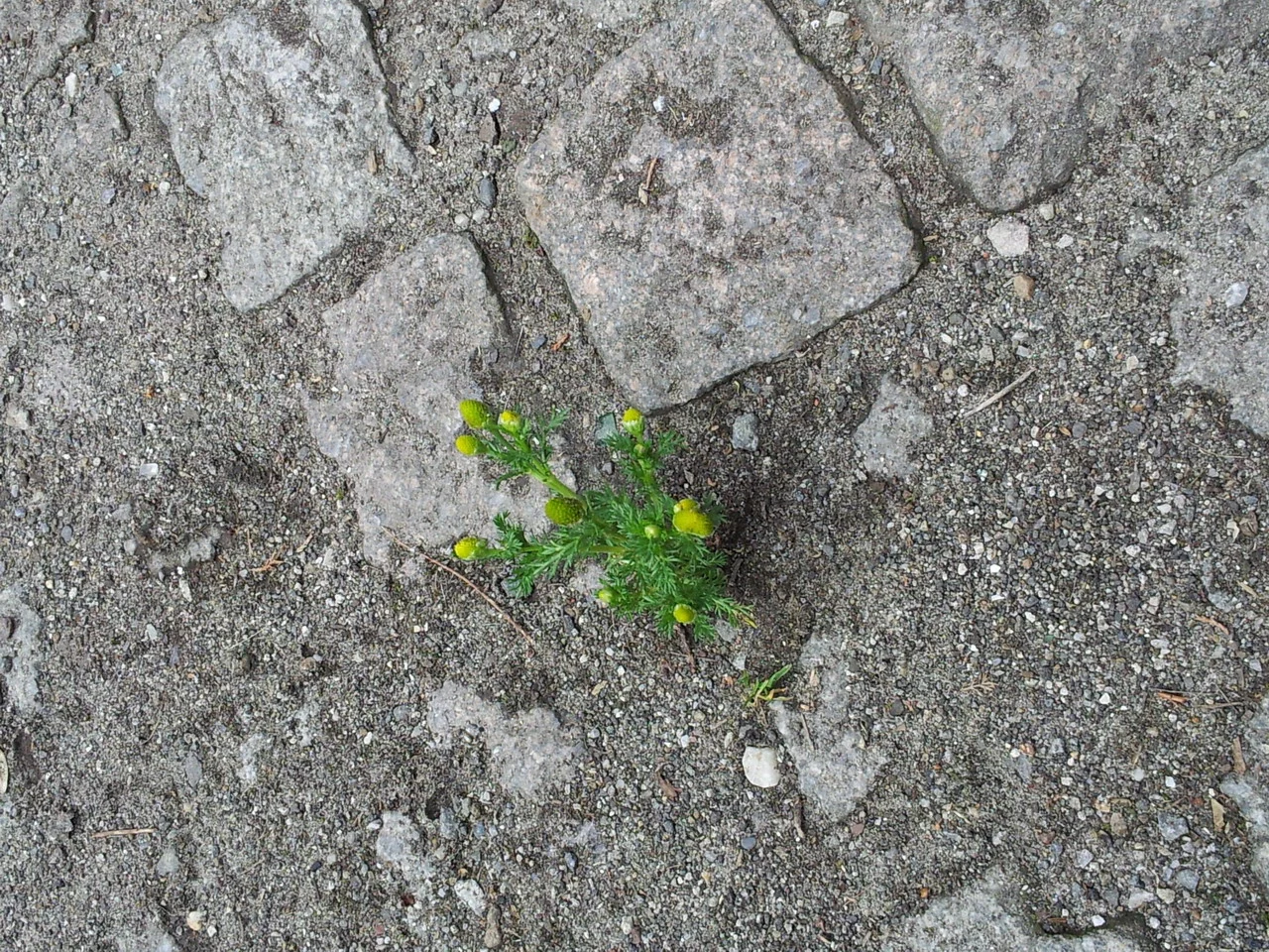 20160516_123431_resize.jpg