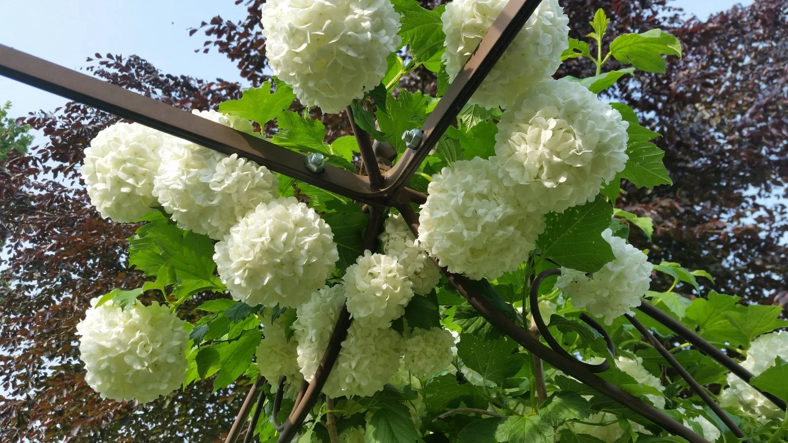 20160521_181647[1].jpg