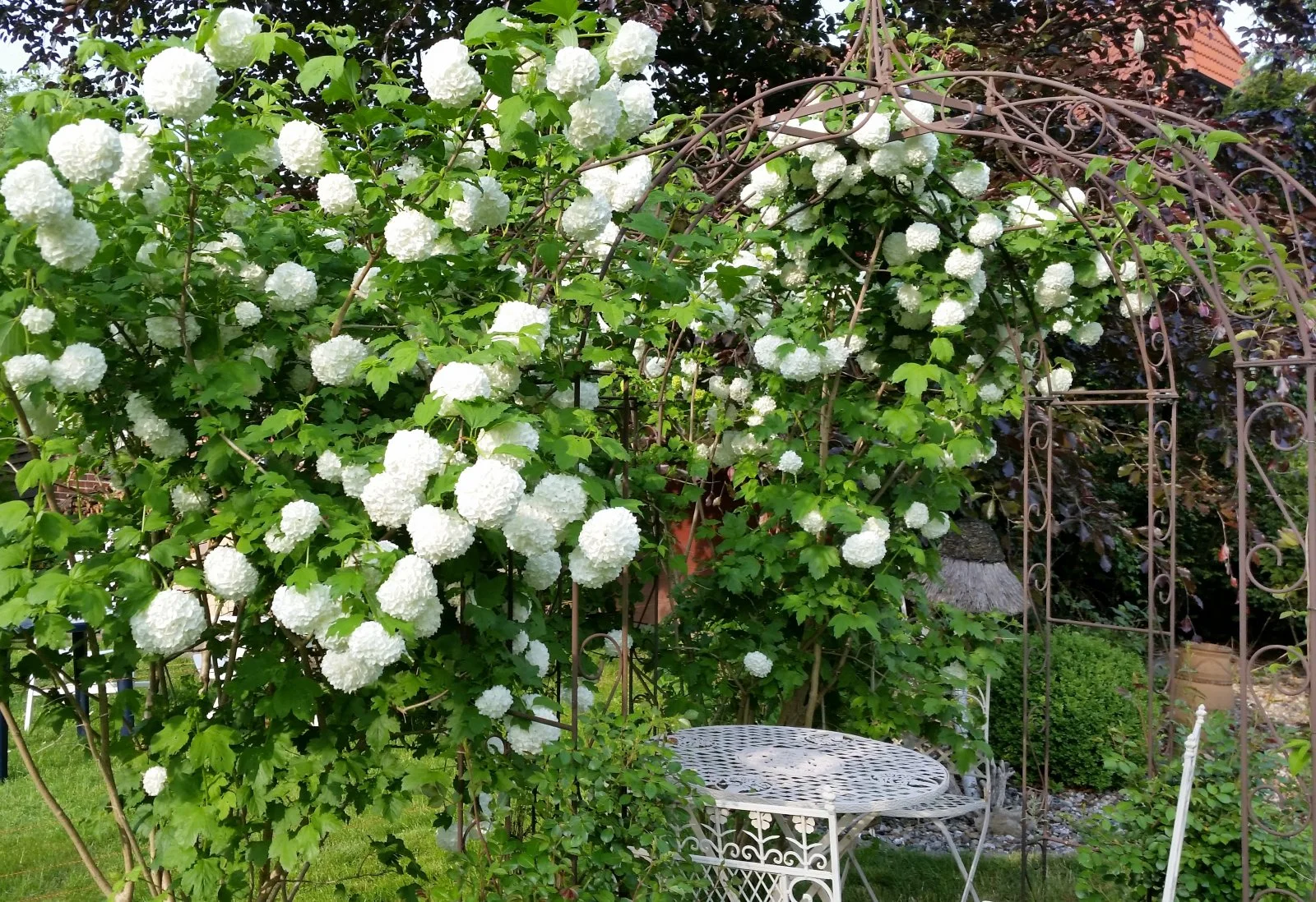 20160521_181759.jpg