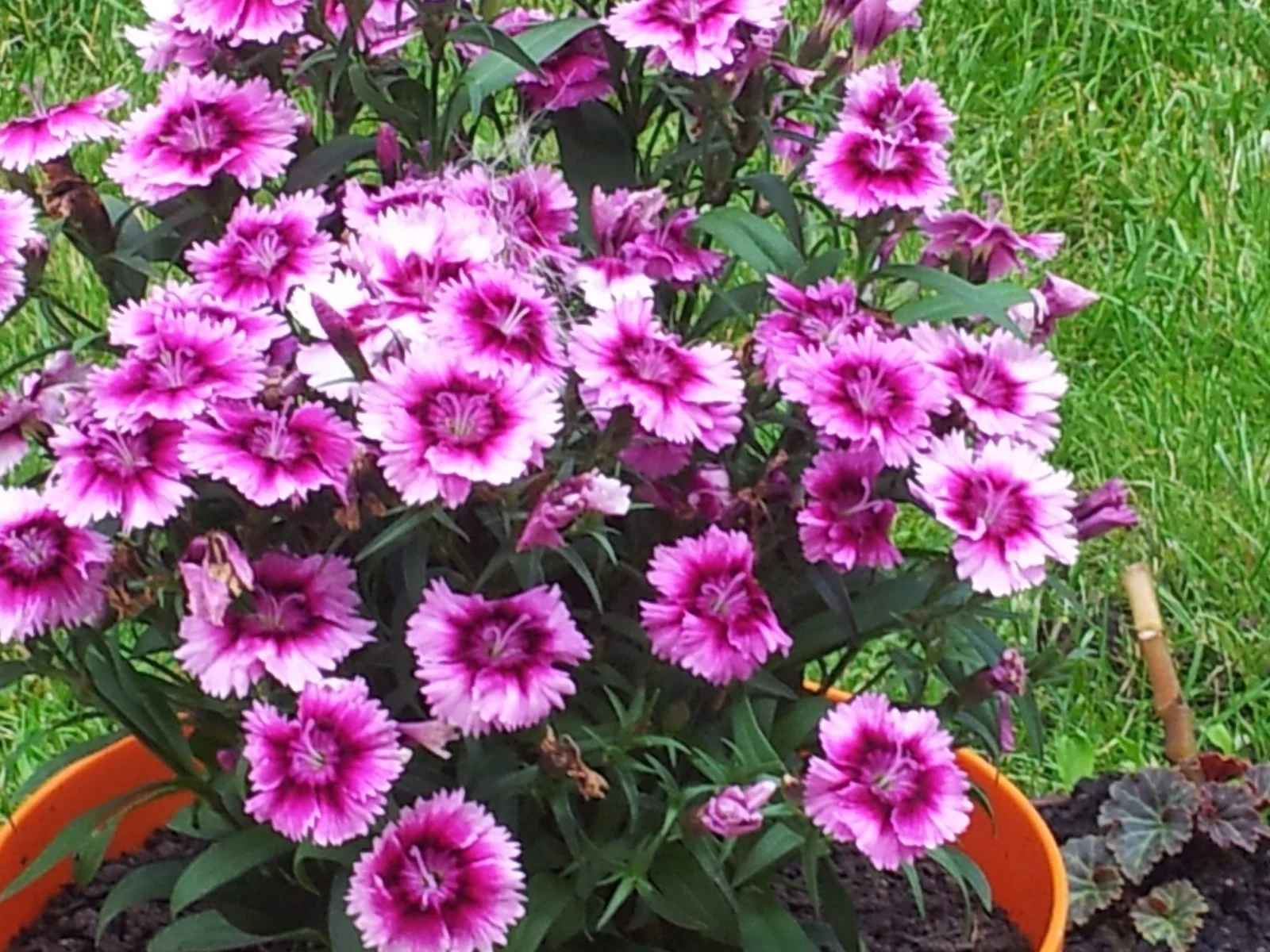 20160603_115722.jpg