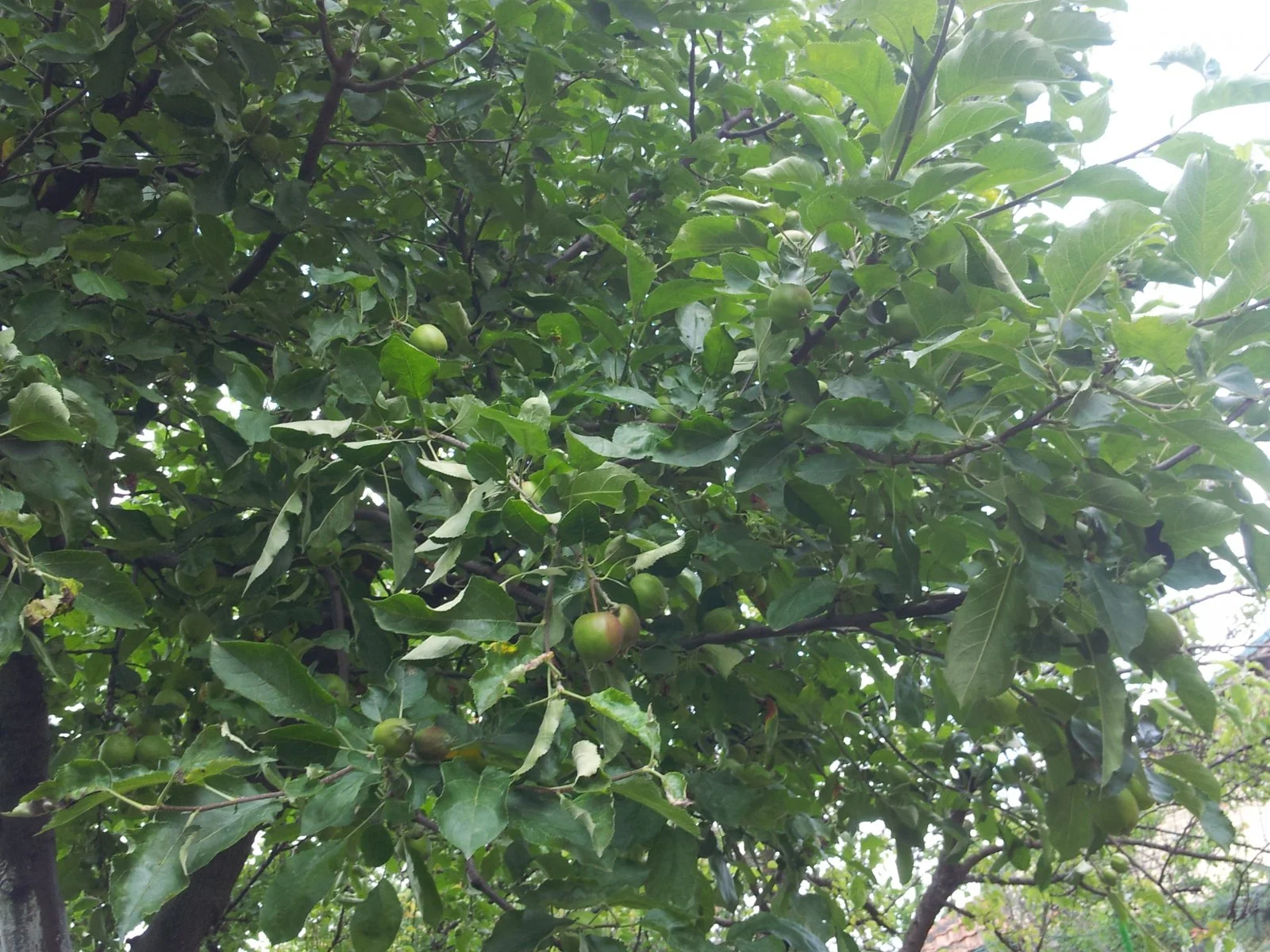 20160603_115952.jpg