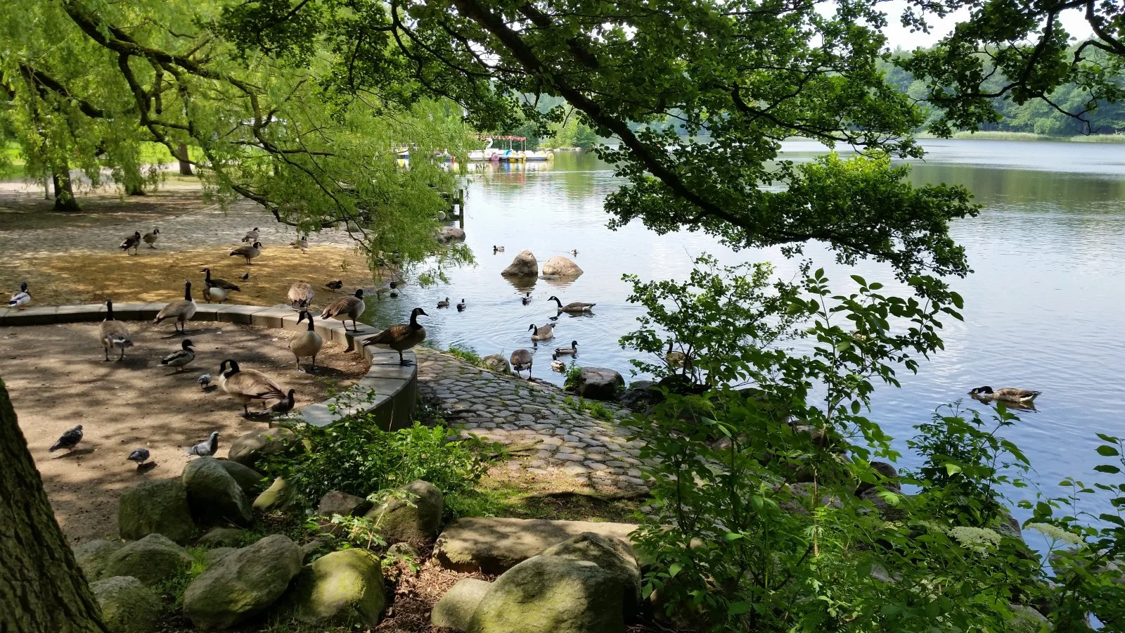 20160603_123841.jpg