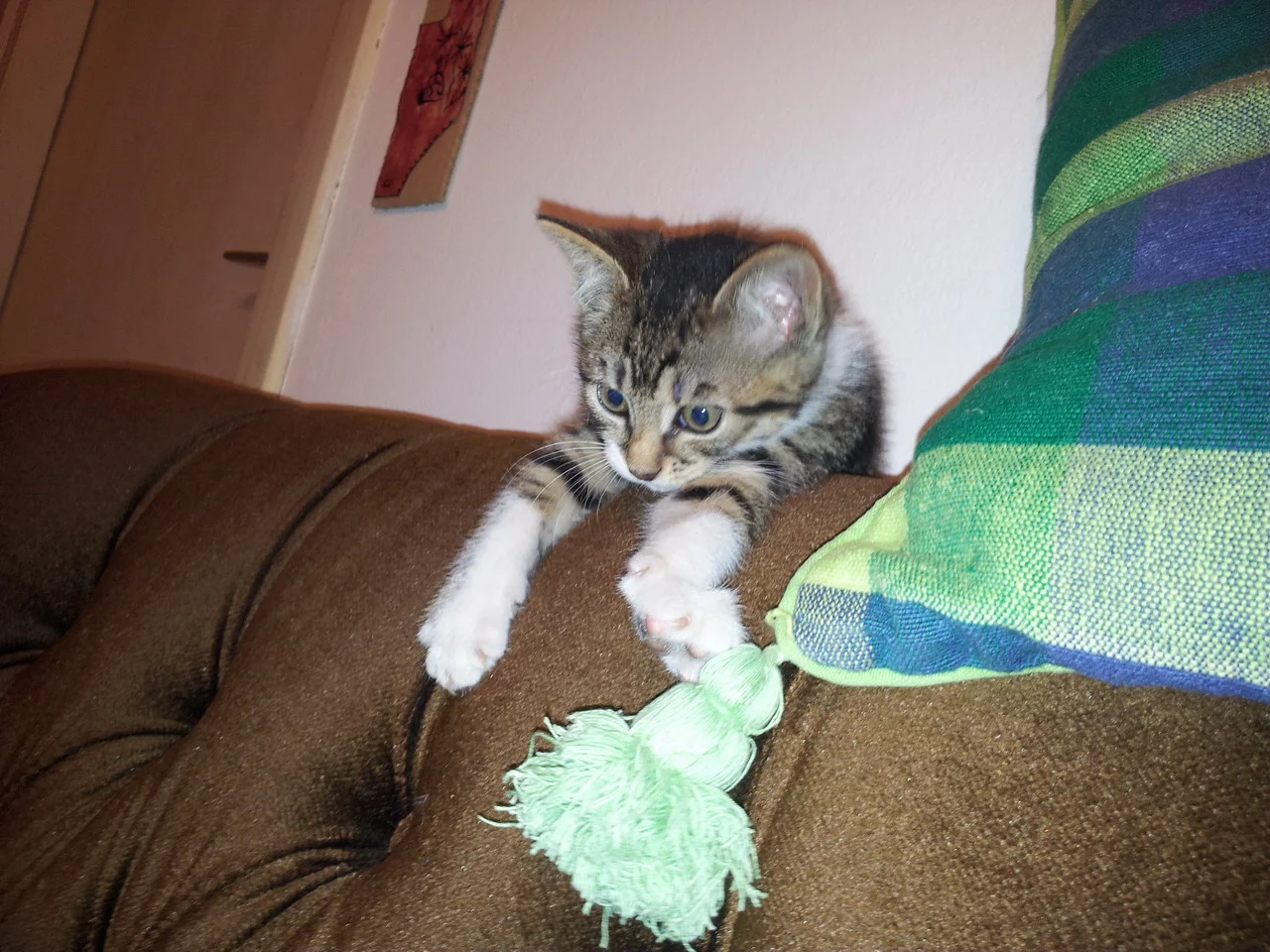 20160605_023520_resize.jpg