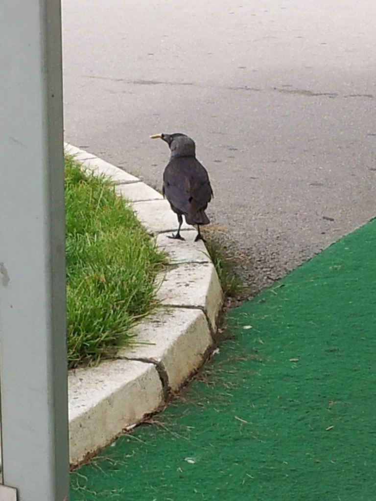 20160611_112536_resize.jpg