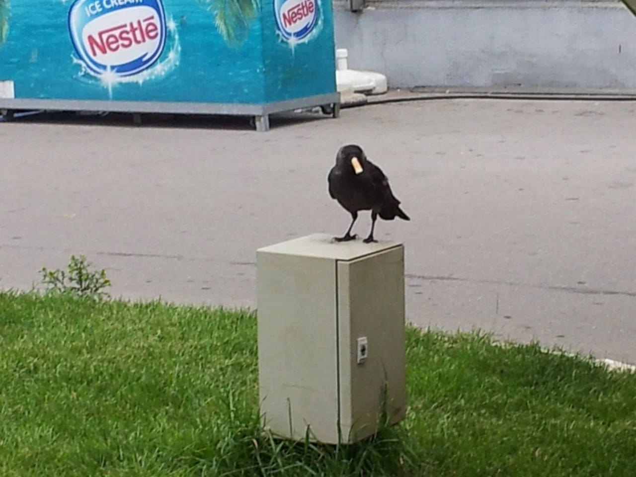 20160611_112543_resize.jpg