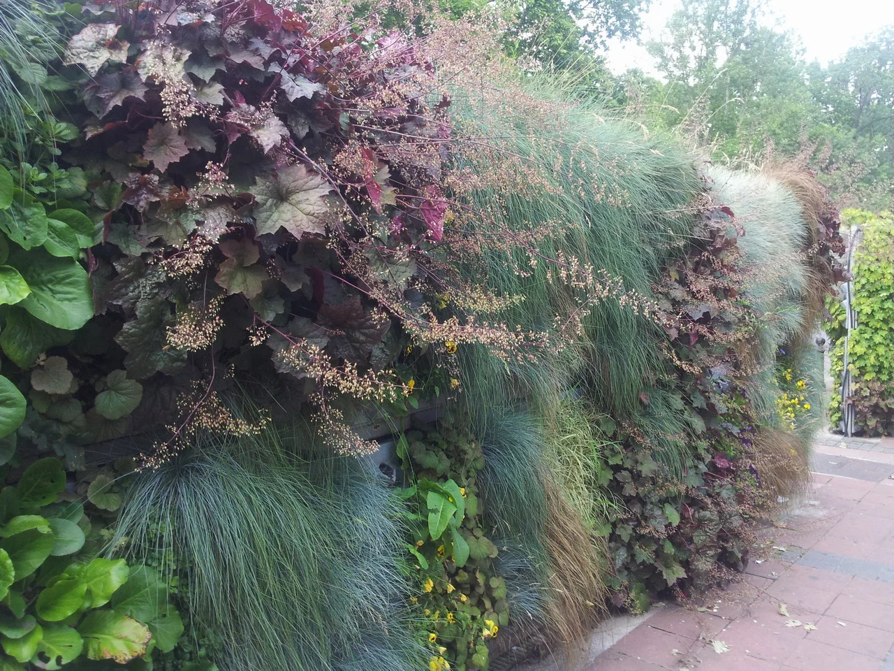 20160622_135722_resize.jpg