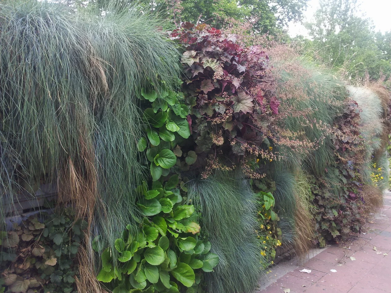 20160622_135731_resize.jpg