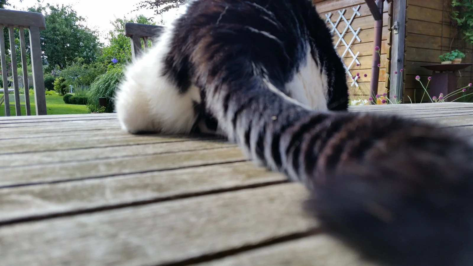 20160704_172153[1].jpg