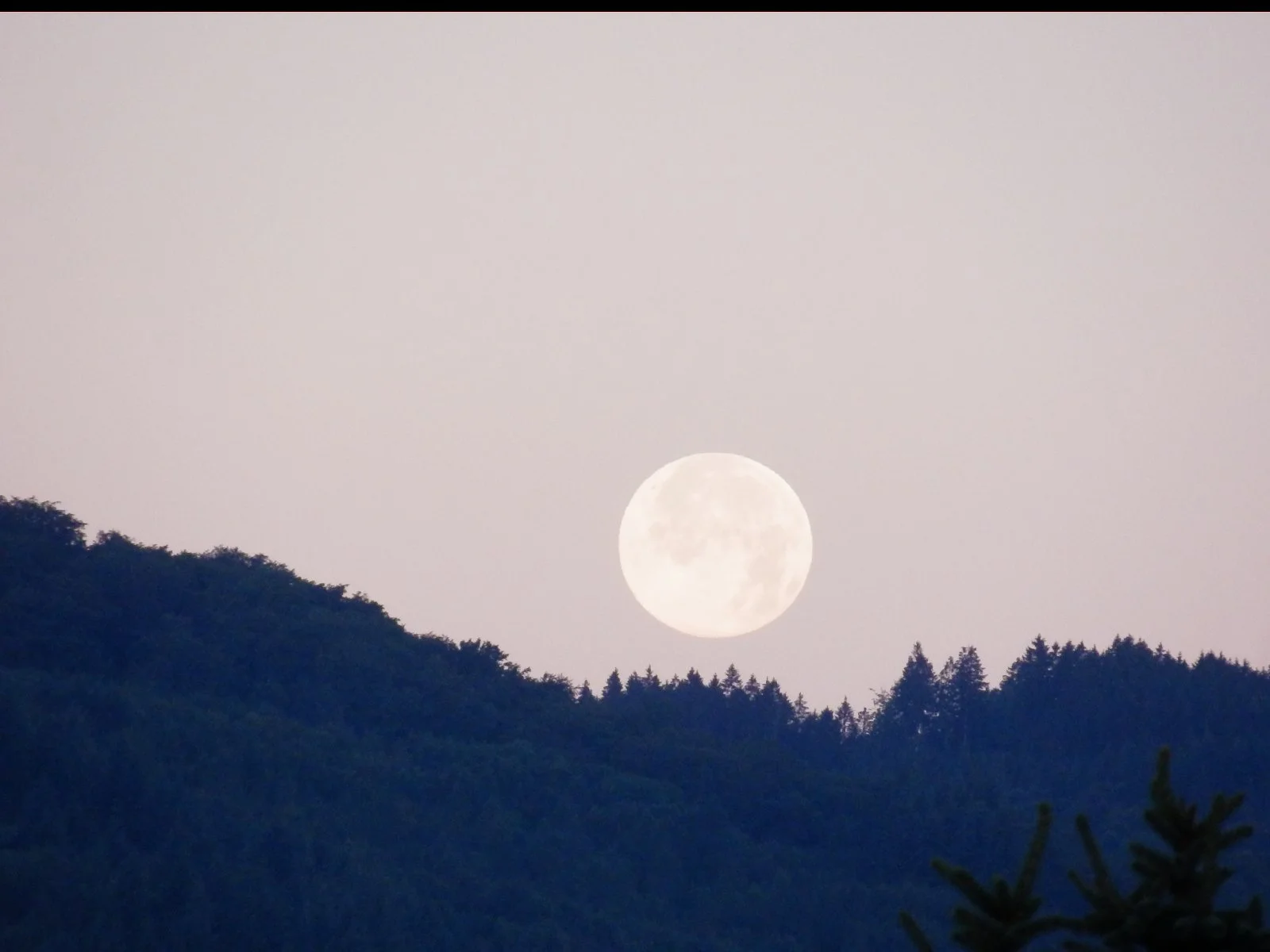 20160720_01.JPG