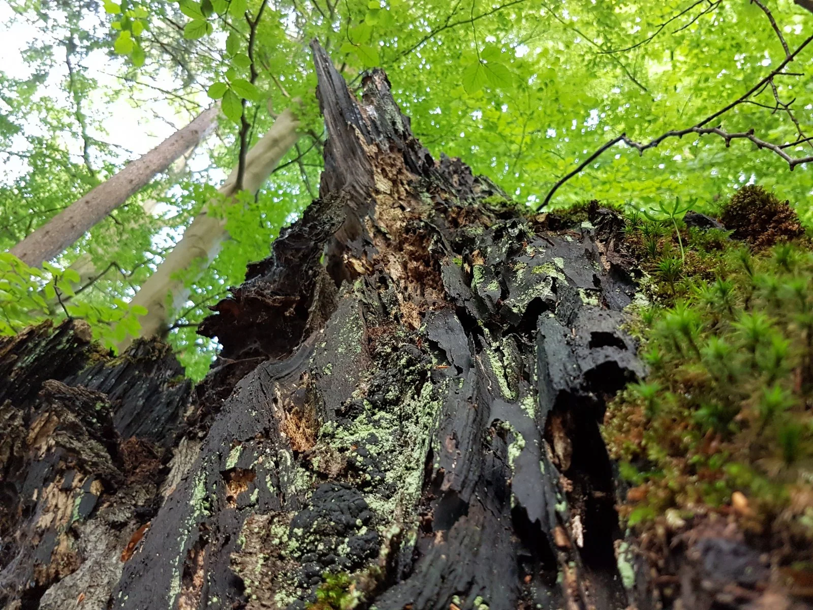 20160823_173621[1].jpg