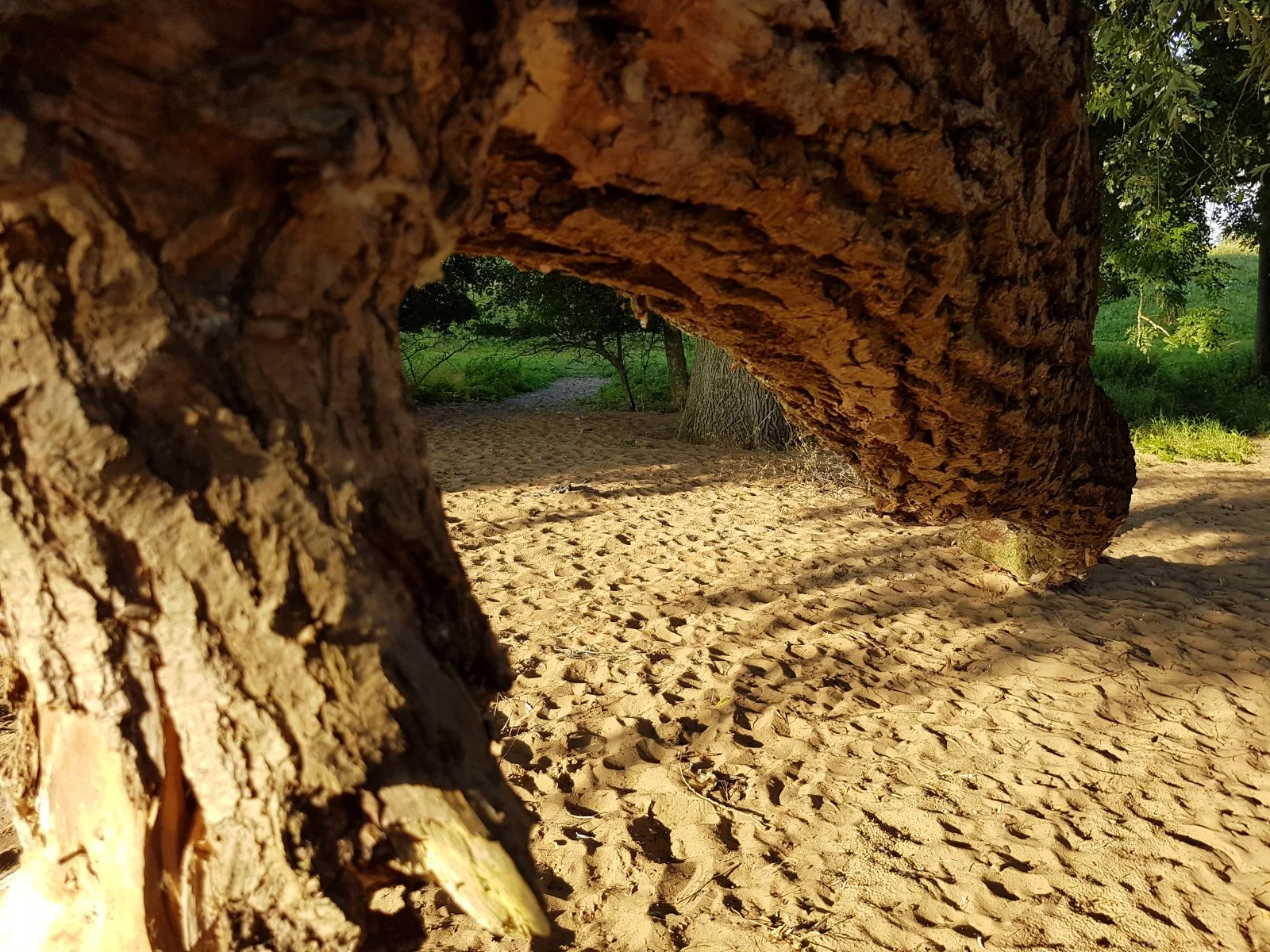20160823_183044[1].jpg