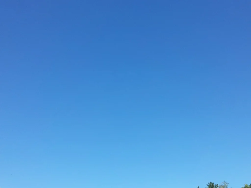 20160828_112159_resize.jpg