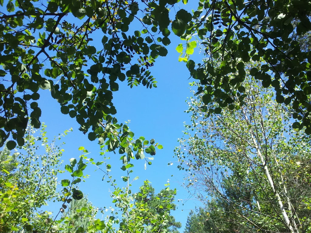 20160828_120238_resize.jpg
