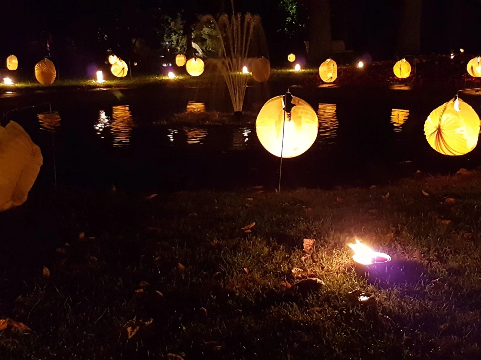 20160904_211322_001[1].jpg
